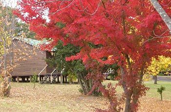 Hotel Madison'S Mountain Retreat Bilpin Esterno foto