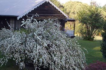 Hotel Madison'S Mountain Retreat Bilpin Esterno foto